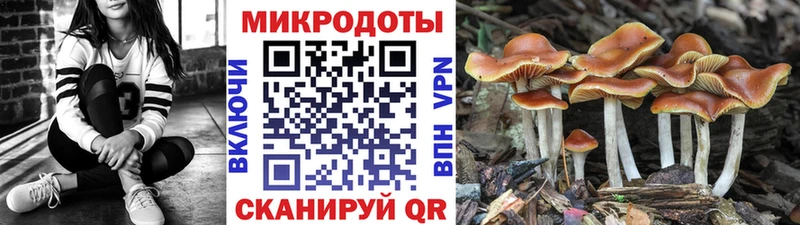 OMG tor Звенигород Псилоцибиновые грибы Magic Shrooms