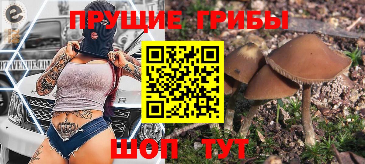 Звенигород  купить  сайты  Псилоцибиновые грибы прущие грибы  Вход с VPN  Галлюциногенные грибы мухоморы 
