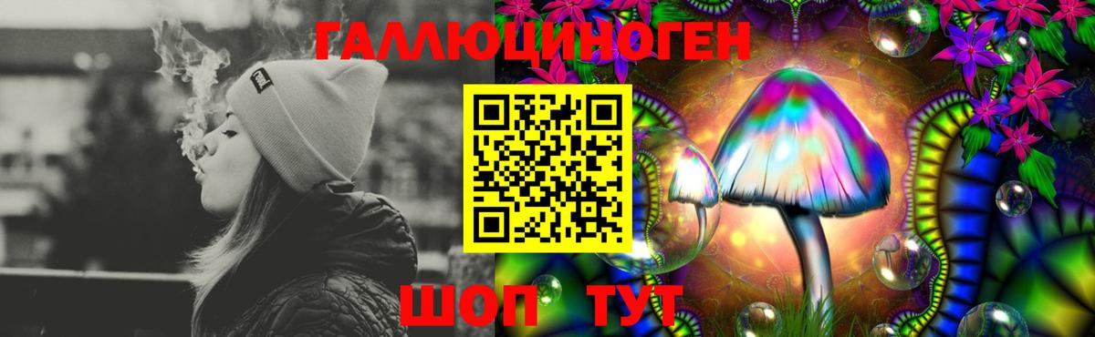 хочу   Звенигород  Псилоцибиновые грибы Cubensis 